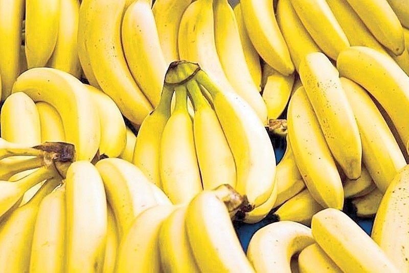 More farm produce exported to Mideast