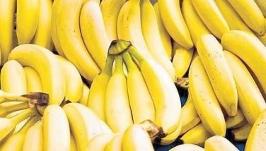More farm produce exported to Mideast