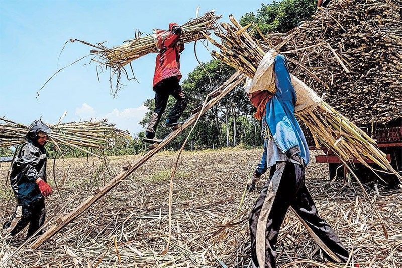 Bacolod declares state of calamity