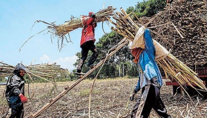 Bacolod declares state of calamity