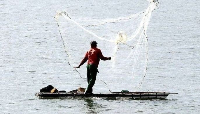 Fisheries output grows 2 percent in Q2