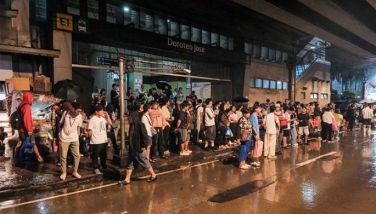 Fallen tree disrupts LRT-1 operations