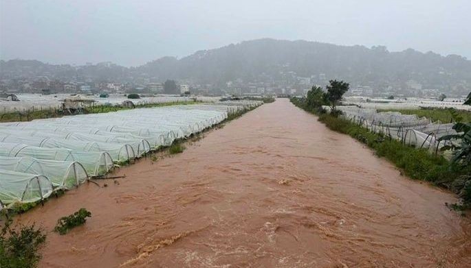 Farm damage from storms exceeds P100 million &ndash; DA
