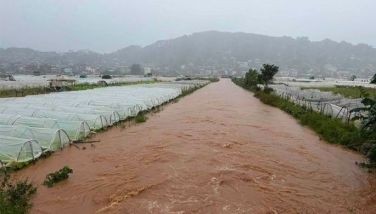 Farm damage from storms exceeds P100 million – DA