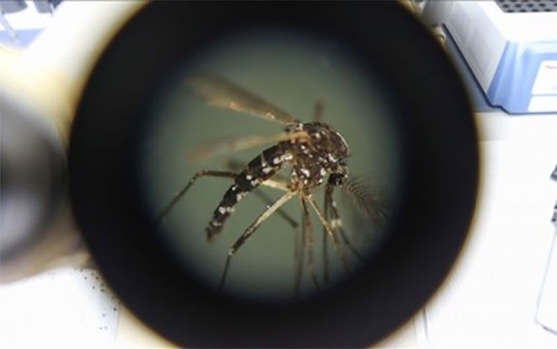 Basilan logs 675 dengue cases