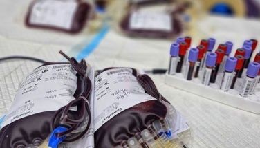 Amid surge in dengue cases: Cebu blood supply tight