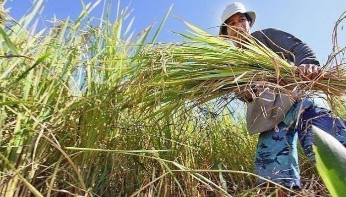 Storm-affected farmers to receive financial aid