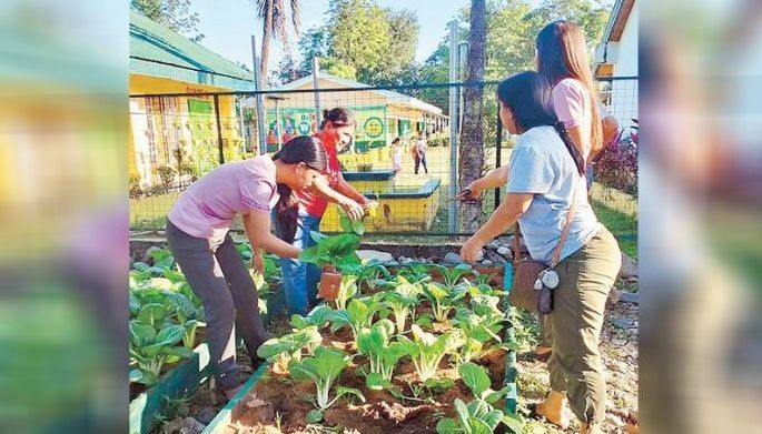 SMC expands urban farms beyond Luzon