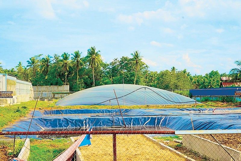 How to turn waste into power sources