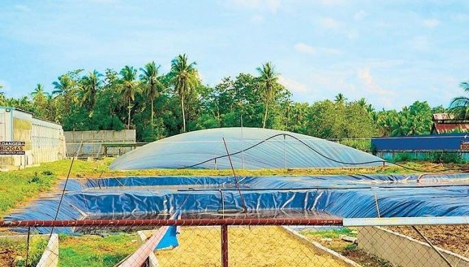 How to turn waste into power sources