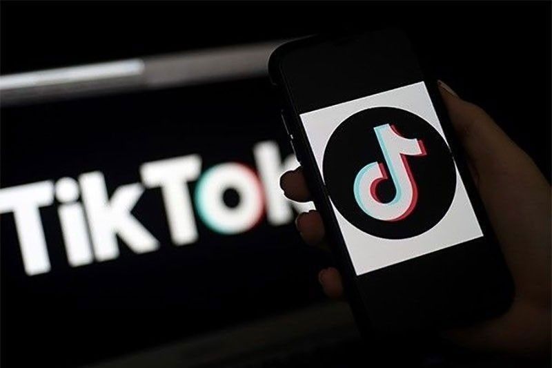 TikTok rolls out family guide for safer online habits