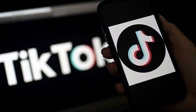 TikTok rolls out family guide for safer online habits