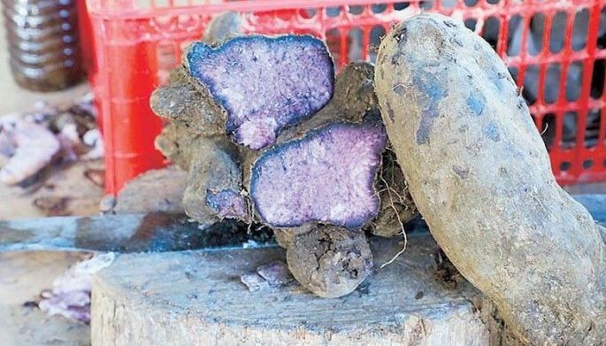 Ube stakeholders form national federation