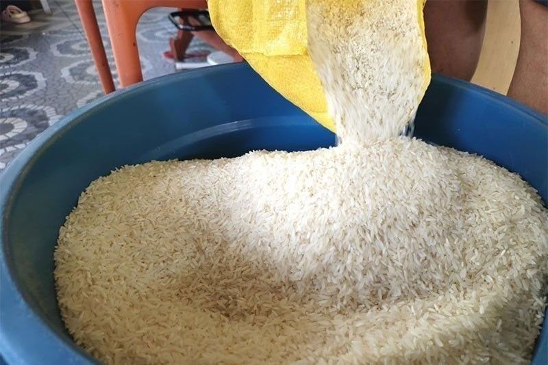 Rice self-sufficiency rises to 78% in 2025