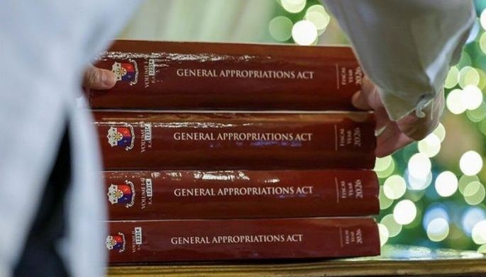 Budget &lsquo;padding&rsquo; in NEP questioned