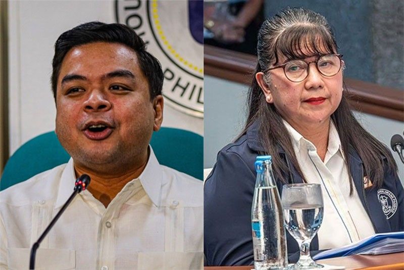 ‘Testimony of OVP witness a smoking gun in Sara trial'