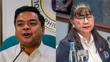 ‘Testimony of OVP witness a smoking gun in Sara trial’