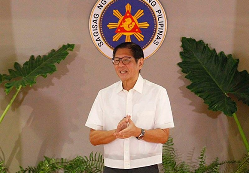 Marcos seeks development of critical minerals industry
