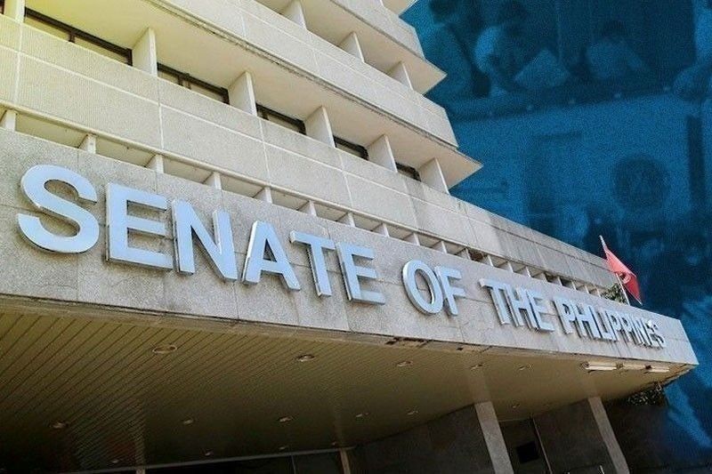 Senate panel clears BSKE reset