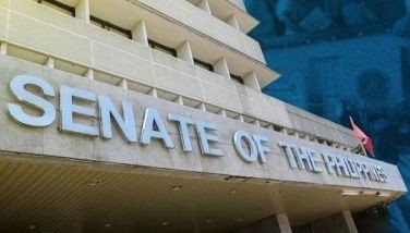 Senate panel clears BSKE reset