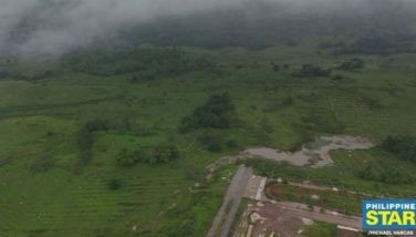 DENR: Pax Silica’s environmental impact not assessed
