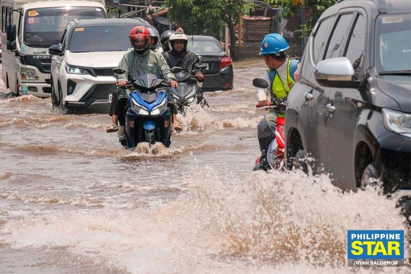 Pilandok, napanatili ang lakas