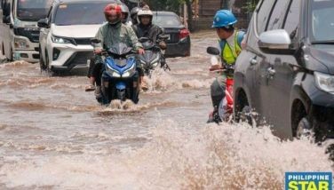 Pilandok, napanatili ang lakas