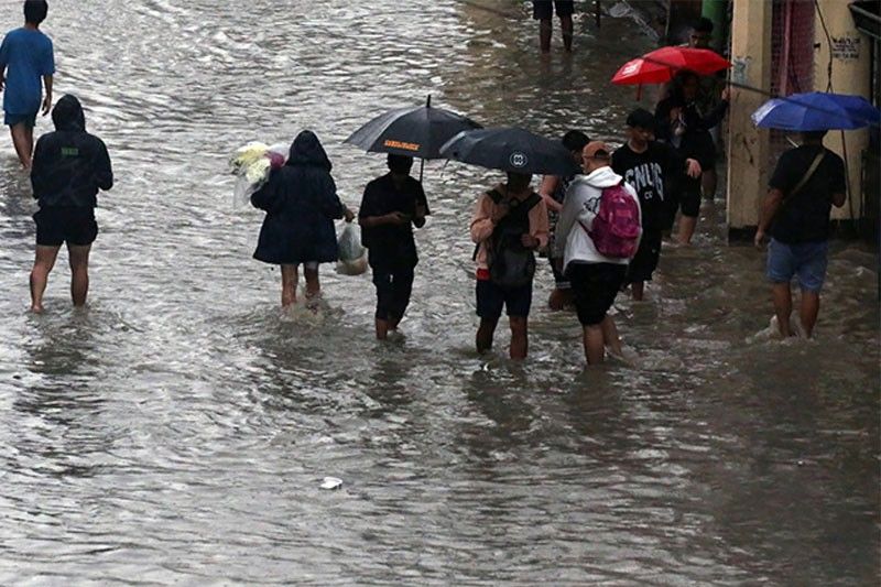 DOH: 5,835 leptospirosis cases recorded