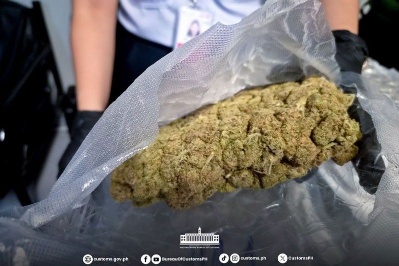 BOC turns over P141.89 million kush to PDEA