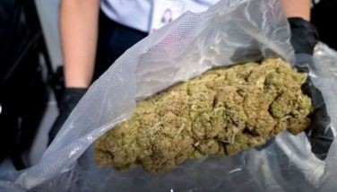 BOC turns over P141.89 million kush to PDEA