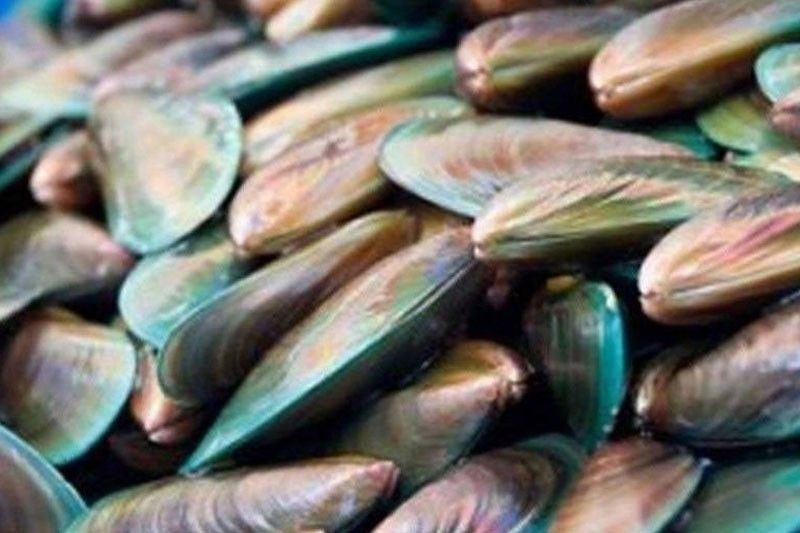 Shellfish ban sa Biliran Island, inalis na