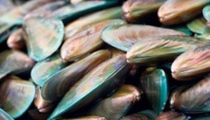 Shellfish ban sa Biliran Island, inalis na
