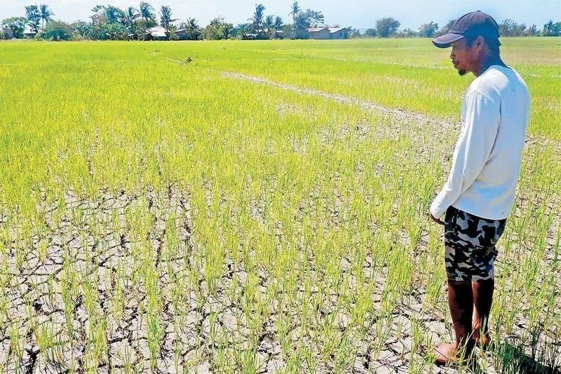 El Niño Summit in Cebu City today