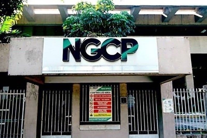 Singil sa ancillary services sa Visayas pinasisilip