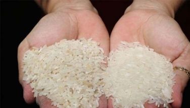 P87.6 million smuggled rice, sugar destroyed in Zamboanga