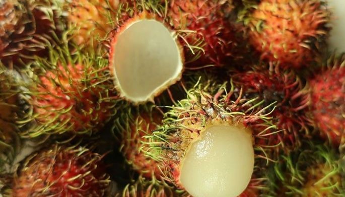 Season of the hairy fruit: Rambutan in abundance
