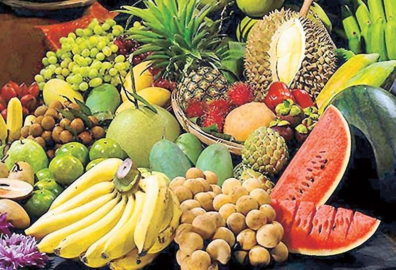 Philippines Secures $290M in Fruit Exports at Asia Fruit Logistica 2026