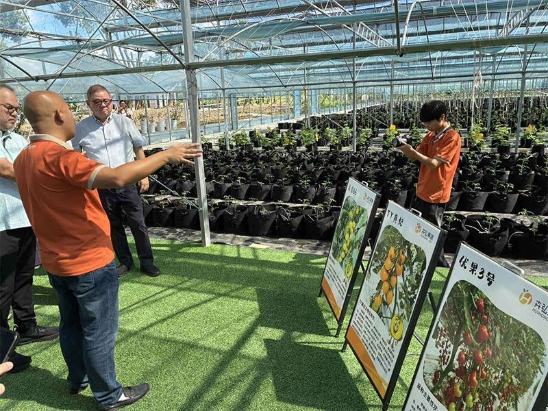 China’s smart farming technology under study