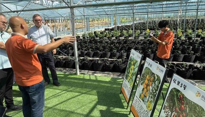 China&rsquo;s smart farming technology under study