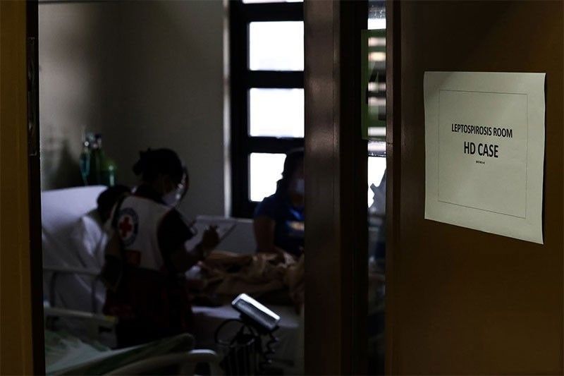 Leptospirosis cases still high