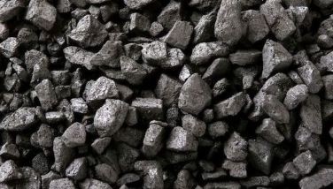 ‘Coal demand likely to keep steady pace’