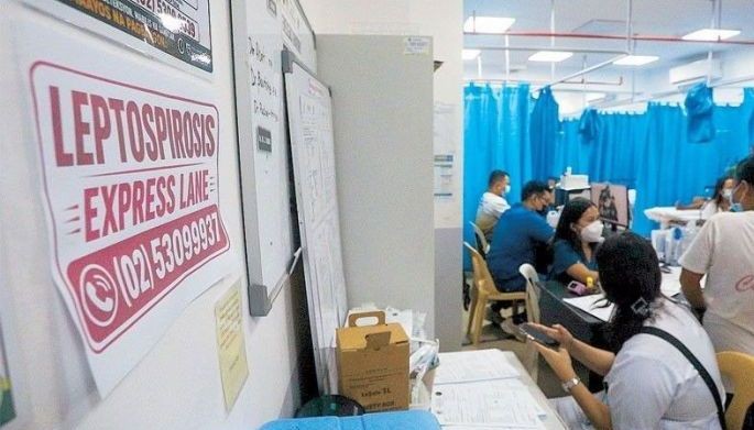 DOH logs 8,317 leptospirosis cases