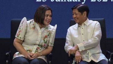Presidente, VP bawal sa negosyo