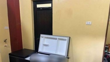 Babae sa ref kilala na, away sa pera sinisilip - PNP