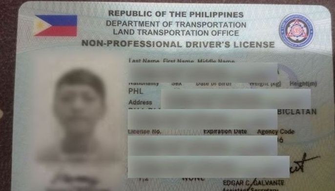 Naka-hit-and-run sa aso, kinastigo