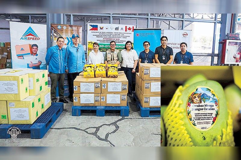Philippines mangoes make it to Canada; more fruits headed for UK