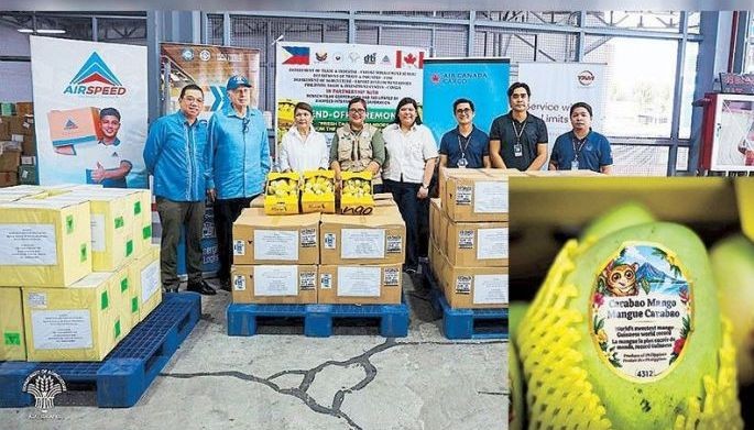 Philippines mangoes make it to Canada; more fruits headed for UK
