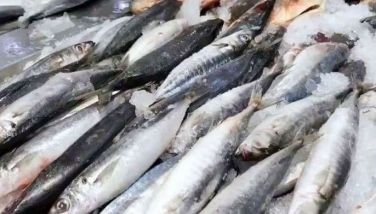 Capitol to track fish prices, supply