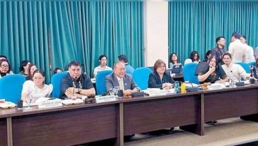 DOE admits no immediate solution to Visayas power crisis