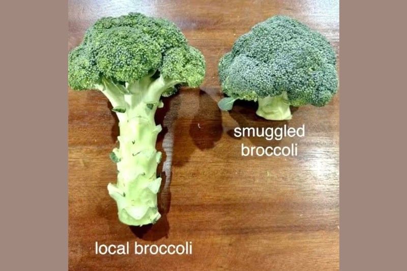 Smuggled broccoli ibinebenta sa Benguet at Baguio